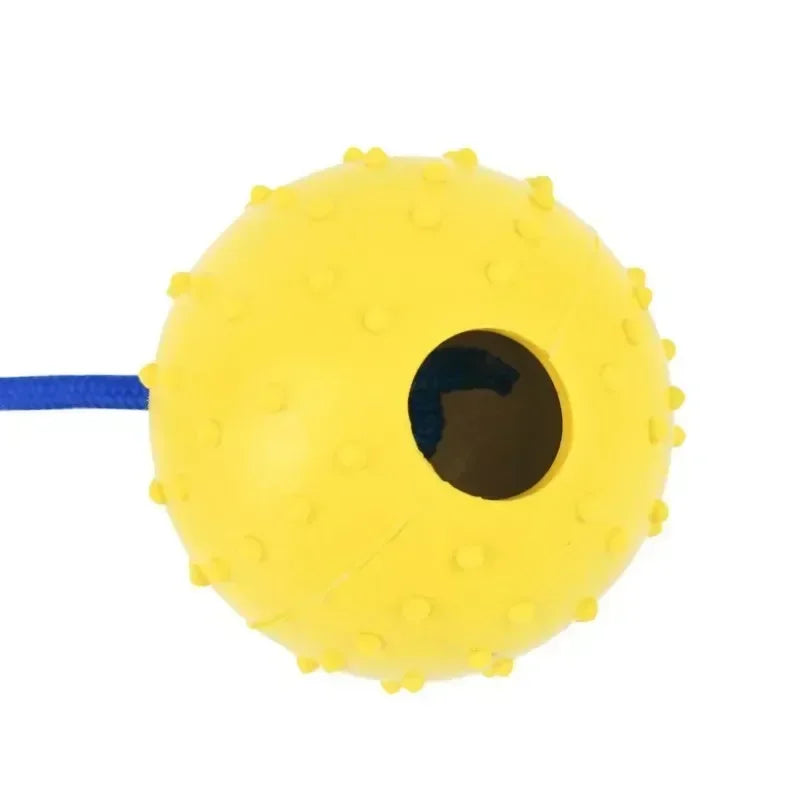 Rubber Interactive Training Dog