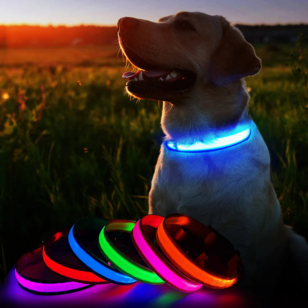 LED Dog Collar Supplies Dog Collar Waterproof Safety Glow Necklace Flashing Lighting Accessories
