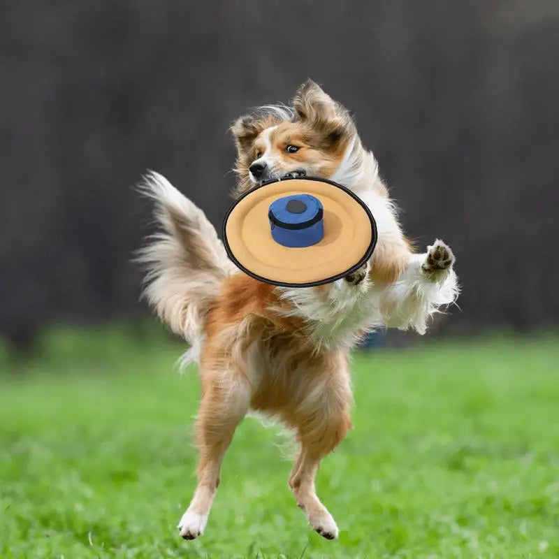 Dog Toy Canvas Flying Disc Interactive Toys