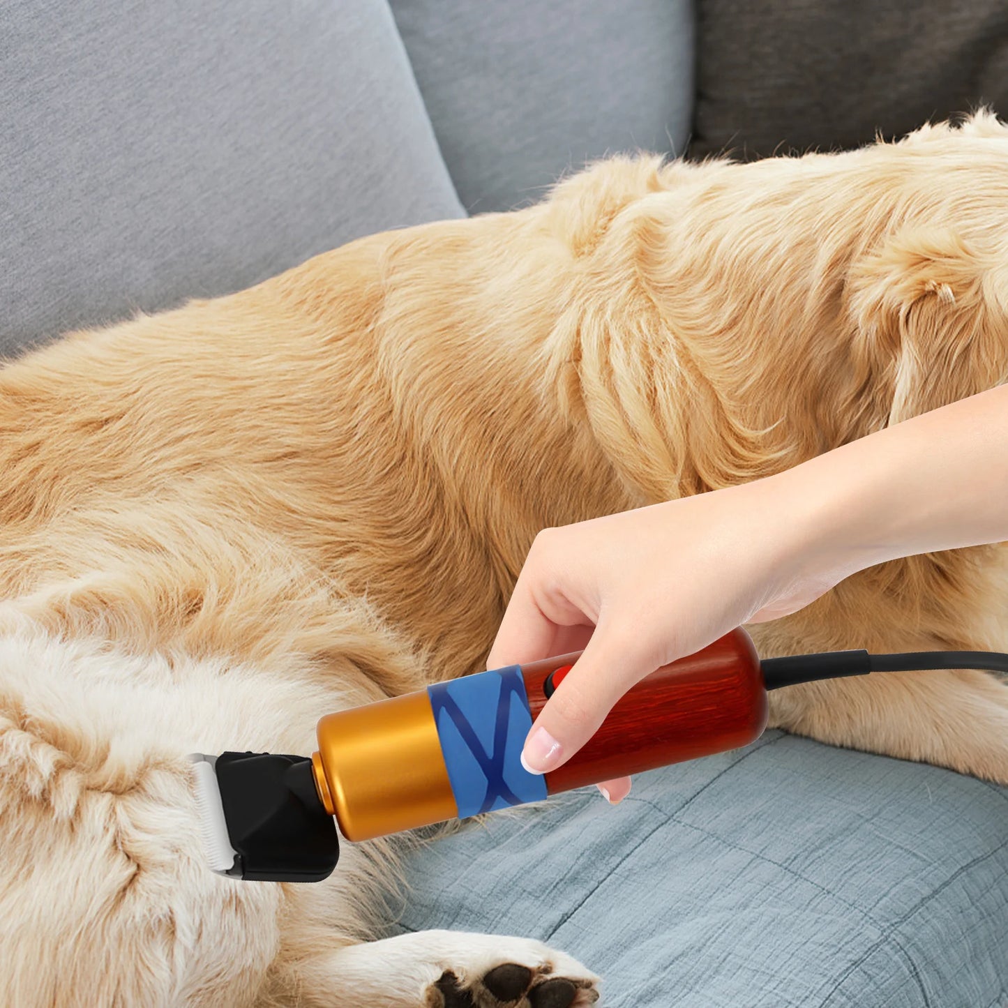 Pet Hair Clipper Low Noise High-efficiency Speed Hair Shearing For Dogs or Cats