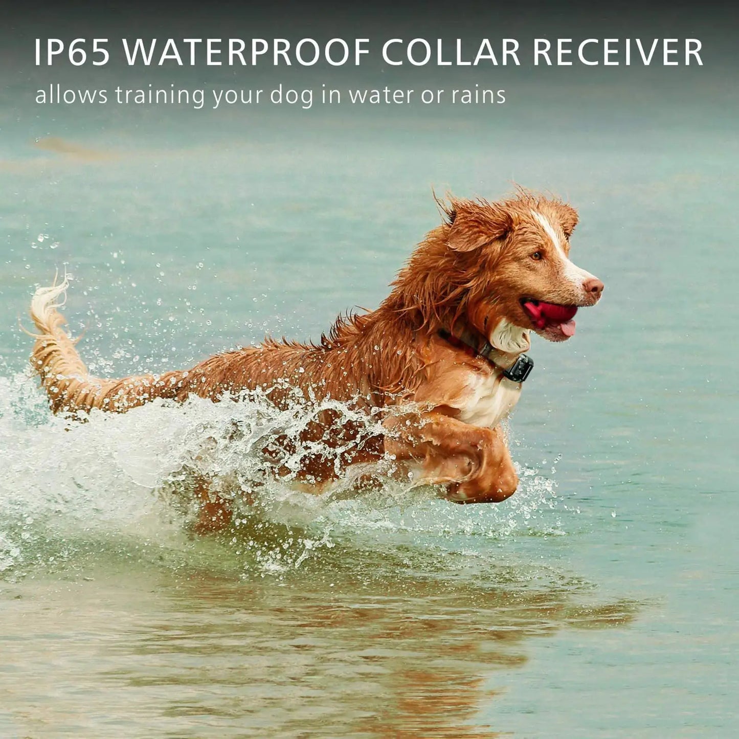 Electric Dog Training Collar, Waterproof With Remote Control Rechargeable Anti Barking Device All Dogs Size