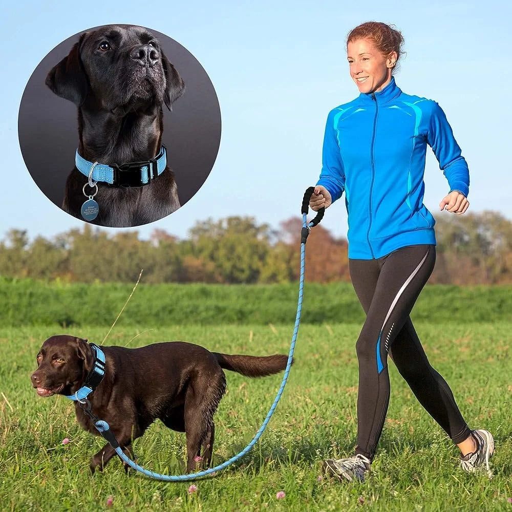 Adjustable Reflective Dog Collar Padded Neoprene Durable Nylon, Bonus 5ft Leash