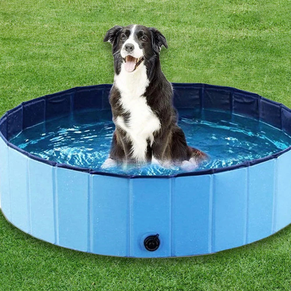Dog Swimming Pool & Grooming Tub