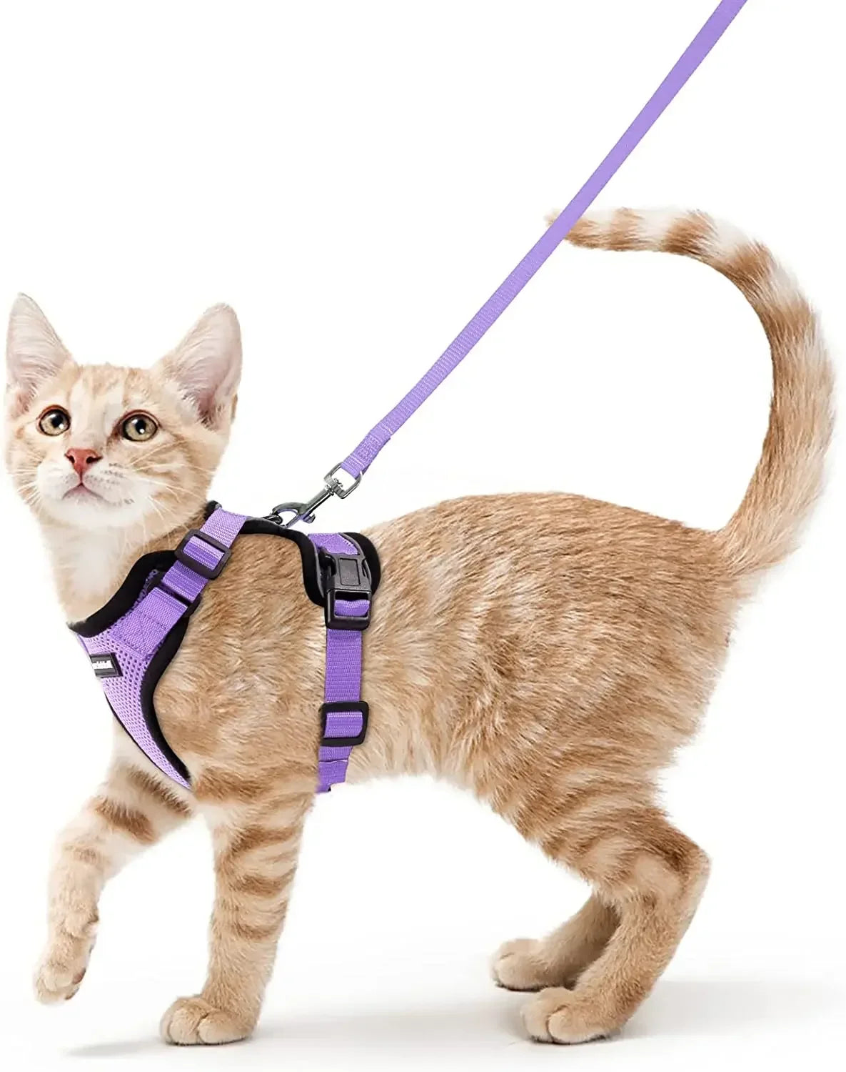 ATUBAN Reflective Breathable Cat Harness And Leash Walking