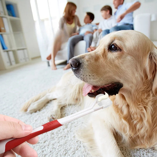 Three Headed Pink Pet Toothbrush for Dogs Promotes Dental Health and Cleaning