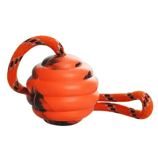 Rubber Interactive Training Dog