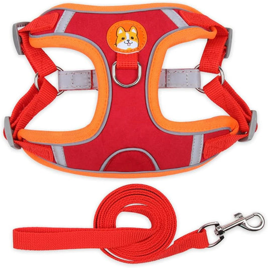 No Pull Dog Harness and  Leash Set