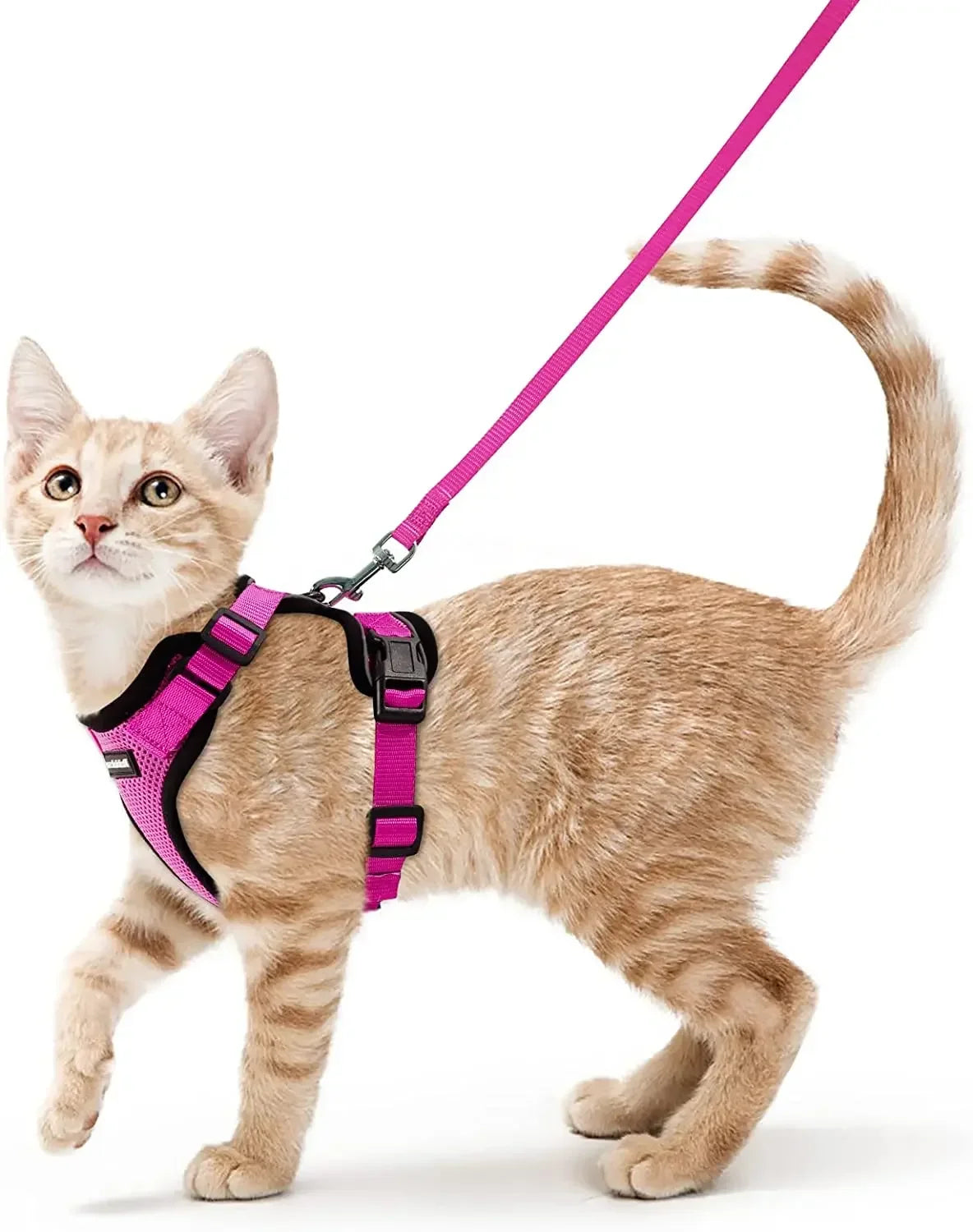 ATUBAN Reflective Breathable Cat Harness And Leash Walking