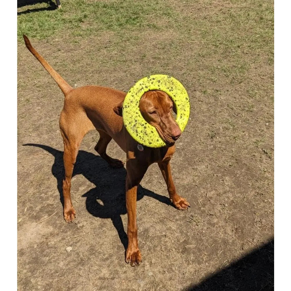 Kong Reflex Flyer Ultra Durable Dog Frisbee for Tough Fetch