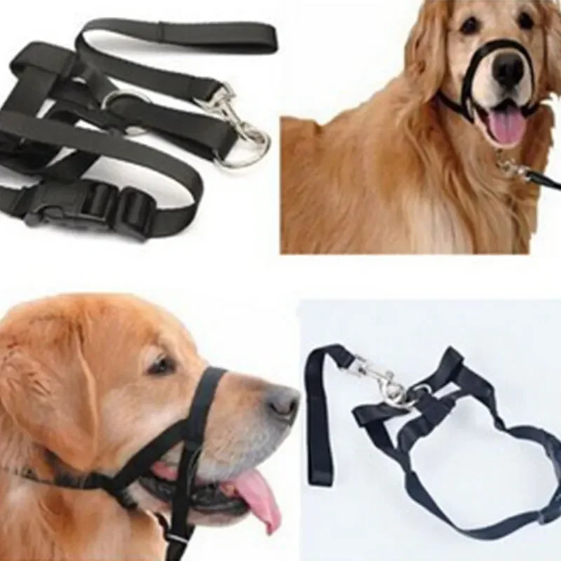 Adjustable Leader Belt Dog Collar No Pull Bite Straps Harness