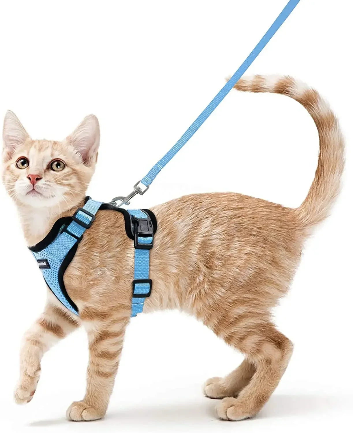 ATUBAN Reflective Breathable Cat Harness And Leash Walking