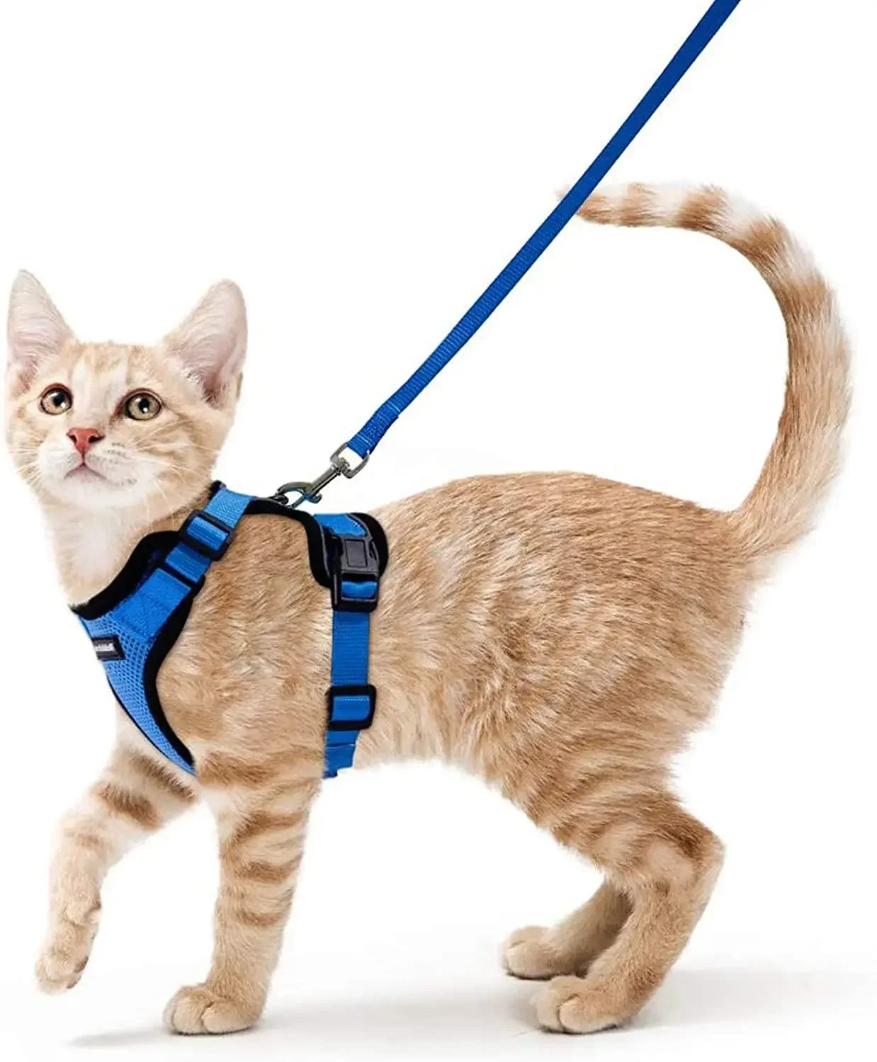ATUBAN Reflective Breathable Cat Harness And Leash Walking