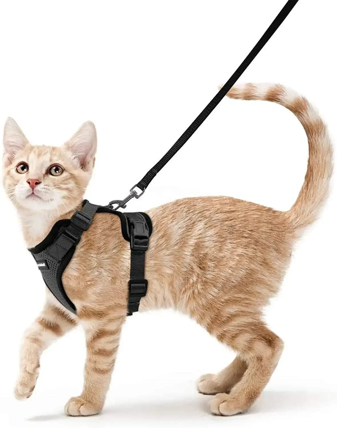 ATUBAN Reflective Breathable Cat Harness And Leash Walking