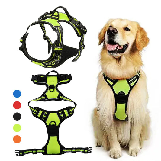 Protective and Stylish pet leash for walking, jogging, or hiking with your furry friend