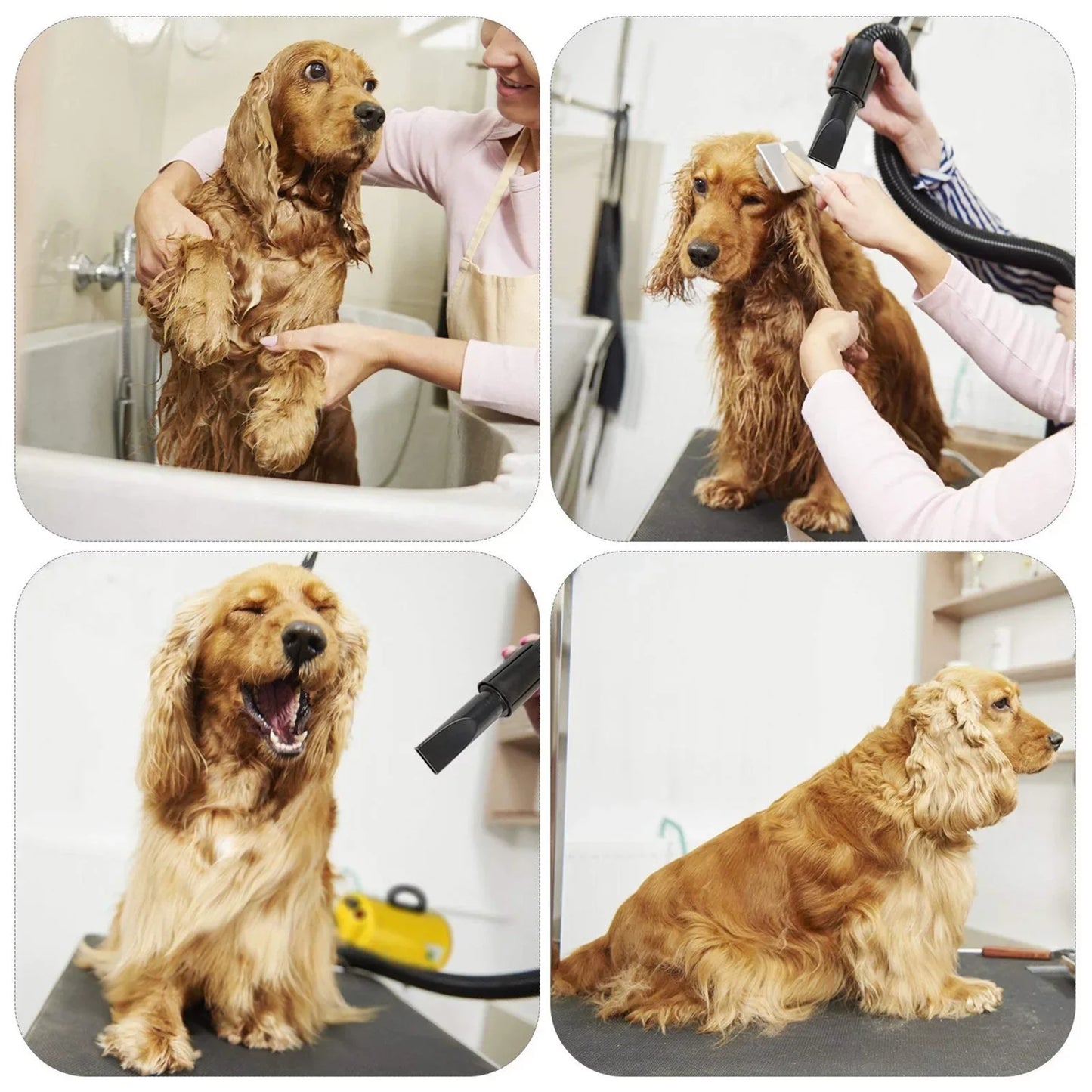 Dog Hair Dryer 3.8HP 2800W Powerful Pet Grooming Blower with Heat and Adjustable Speed