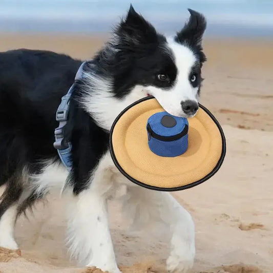 Dog  Toy Canvas Flying Disc Interactive Toys