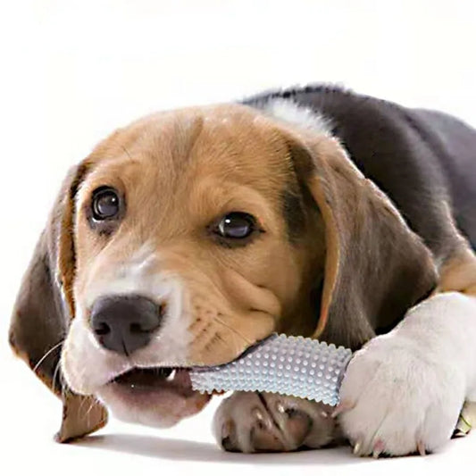 New pet toys cucumber dog biting and grinding toys