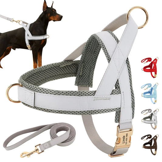 Personalized Dog Harness Leash Set No Pull Dog Harnesses Adjustable Pet Vests