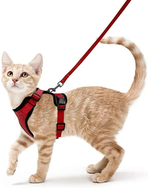 ATUBAN Reflective Breathable Cat Harness And Leash Walking
