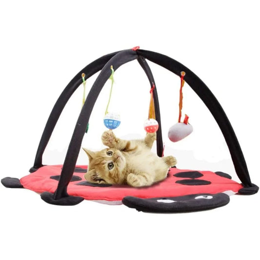 Cat Tent Activity Center with Hanging Toys for Exercise and Play Ideal for Kittens and Small Breeds