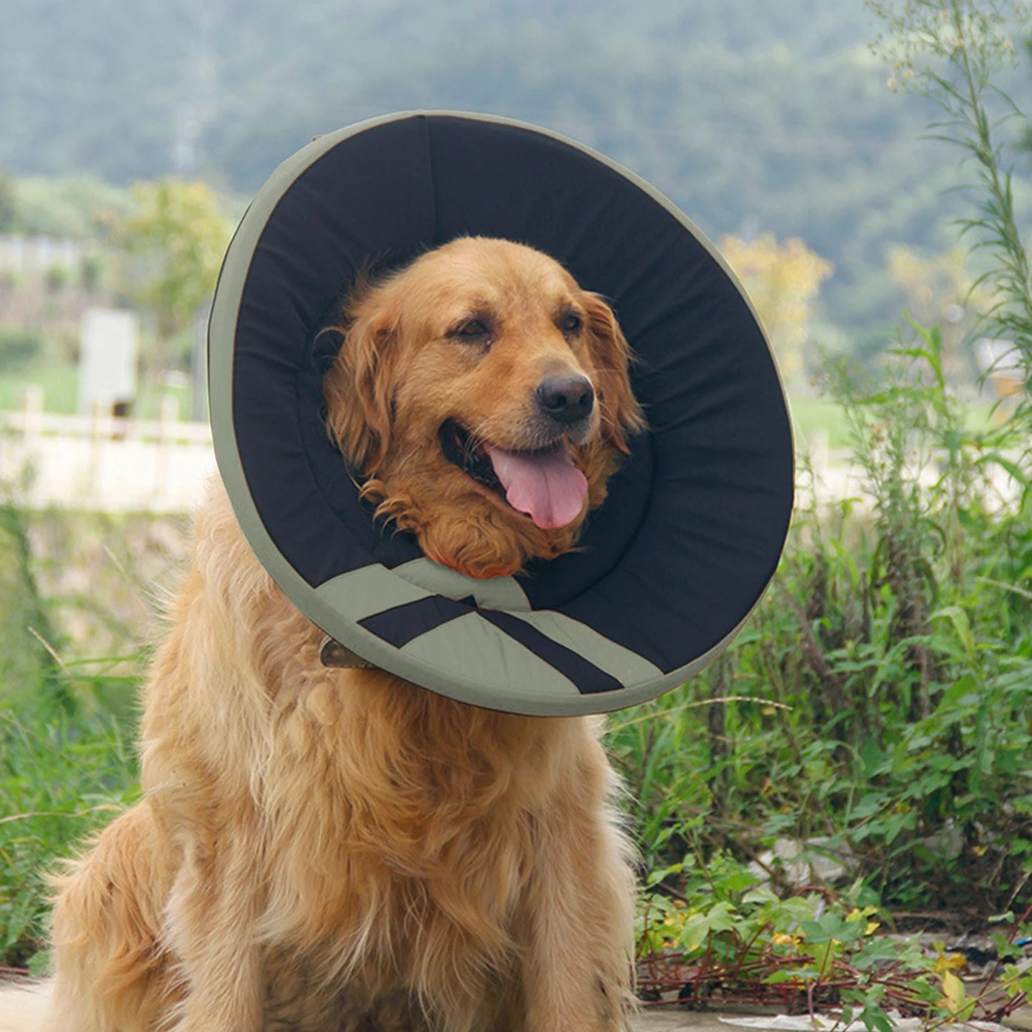 Anti-lick Anti-bite Dog Health, Wound Healing Elizabethan Collar Neck Cone Recovery Collar Protection Cover