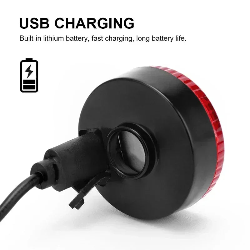 LED Light Dog Collar USB Rechargeable Glowing Pendant 3 Modes For Night Walks