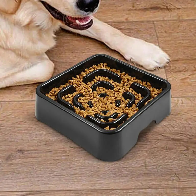 Slow Feeder Dog Bowl