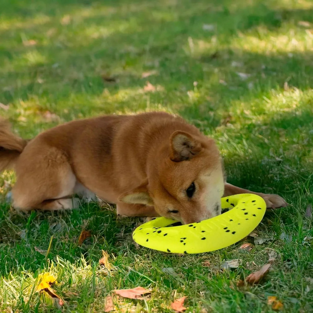 Kong Reflex Flyer Ultra Durable Dog Frisbee for Tough Fetch