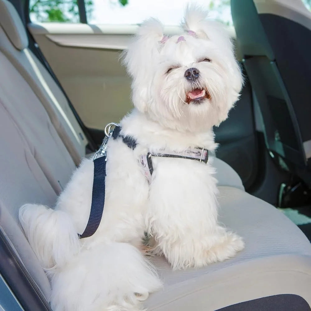 8 Pack Dog Collar Safety Clips Prong Harness