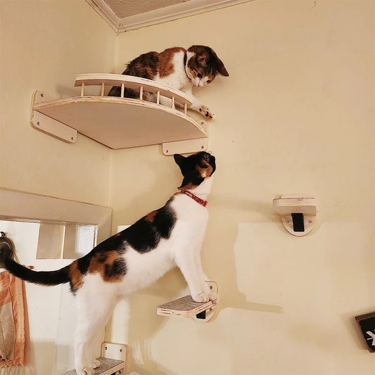 3/4Pcs Corner Hammock with Steps Set Wall Mounted Cat Tree