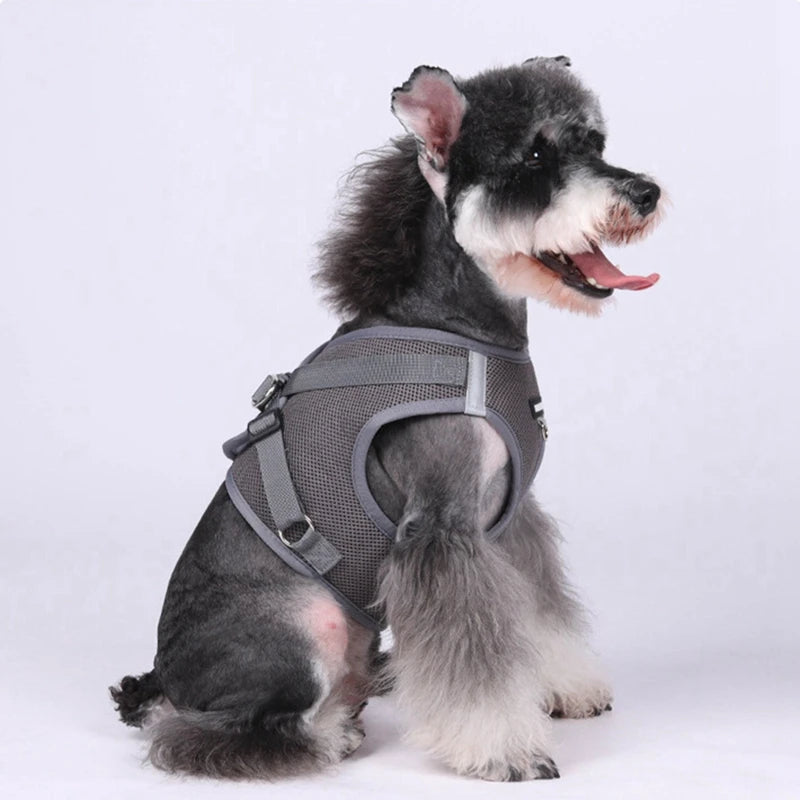 Mesh Cloth Dogs Harness With Leash Adjustable Harness