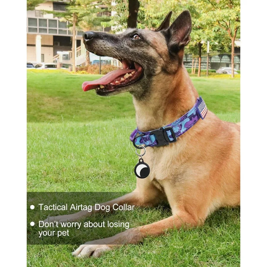 Tactical Nylon Dog Collar With Handle And Buckle For Medium Dogs