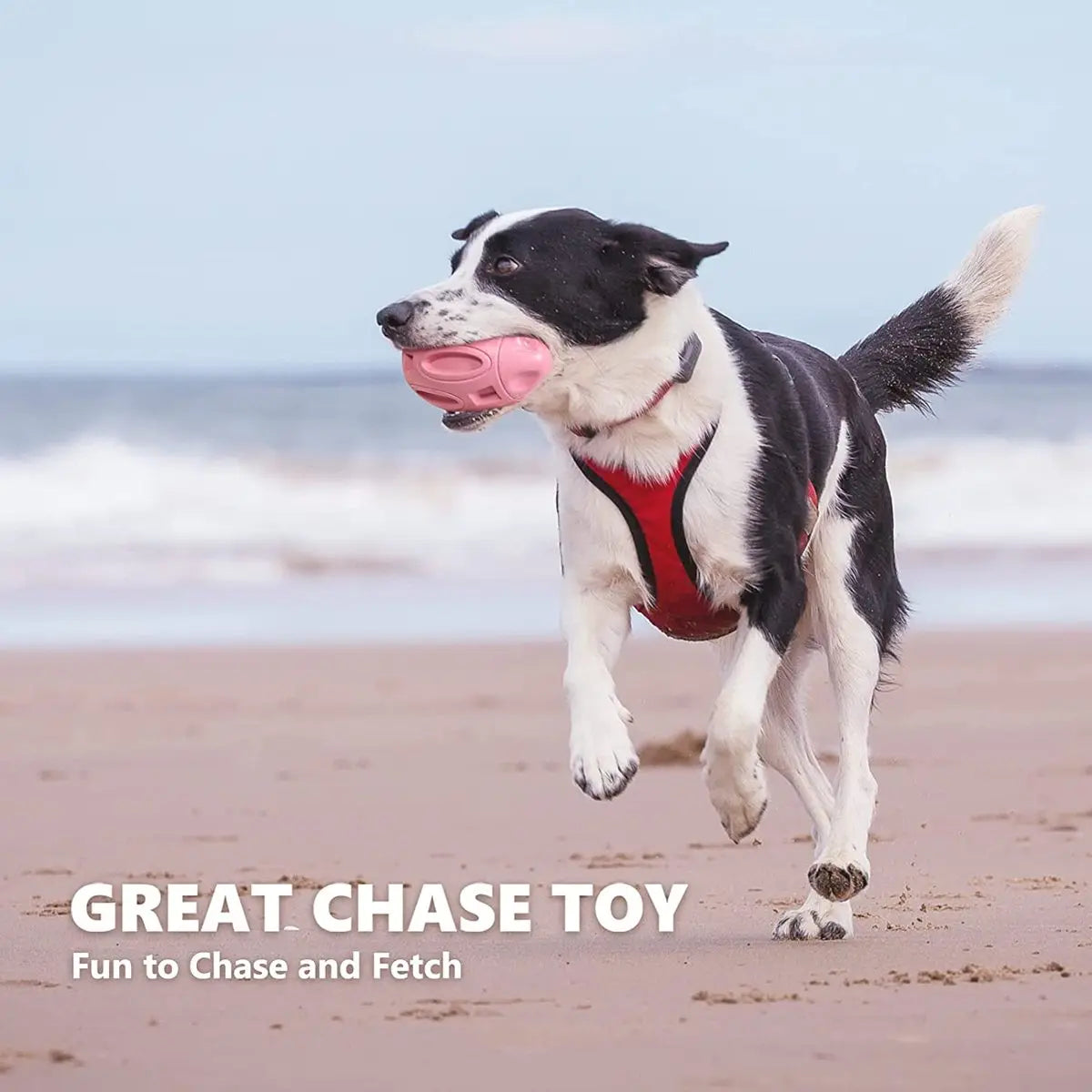 Engaging and essential durable premium dog chew toy for tough chewers