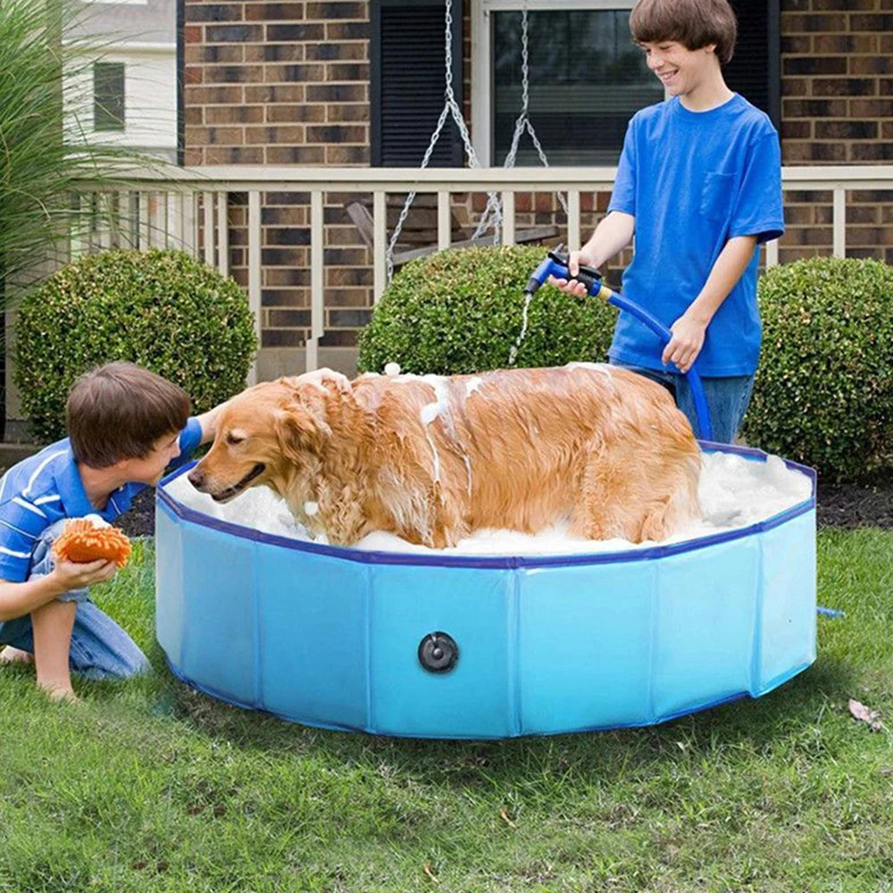 Dog Swimming Pool & Grooming Tub