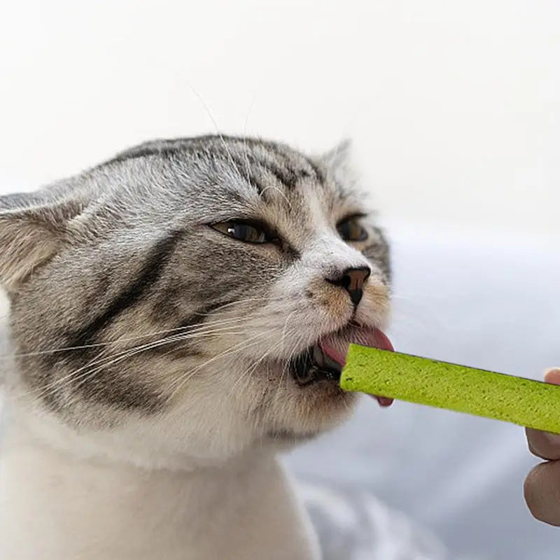 Cat Grass Sticks For Indoor Cats Molar Indoor Teeth Grinding Grass Chew Toy