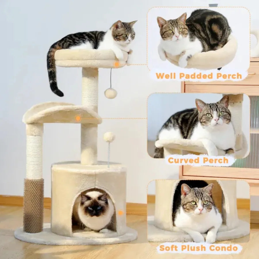 Small Cat Tree for Indoor Cats Medium Cat Tower with Interactive Cat Toy 32.7"