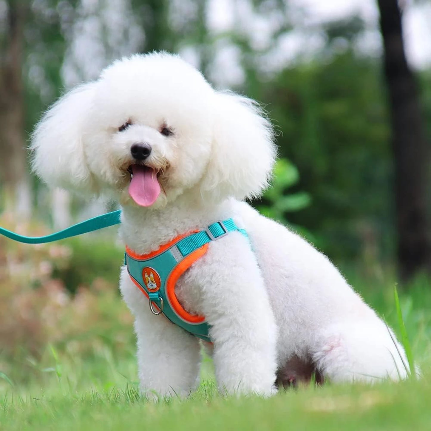 No Pull Dog Harness and  Leash Set