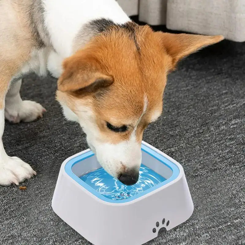 No Spilling Large Capacity  Water Dish