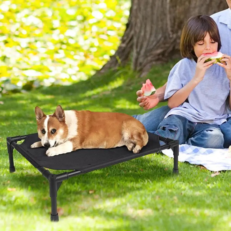 Foldable Outdoor Camping Dog