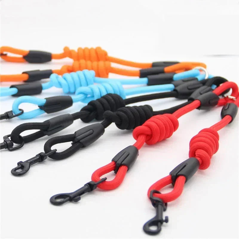 Double Accessories  Leash for Small Dogs